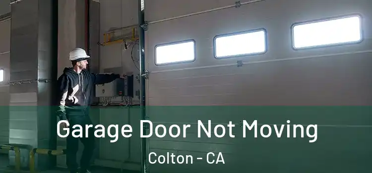  Garage Door Not Moving Colton - CA