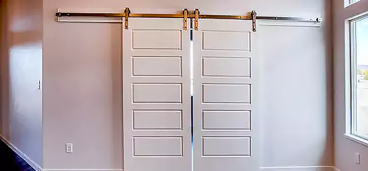 Glass Barn Door with Installation Hardware Kit Colton