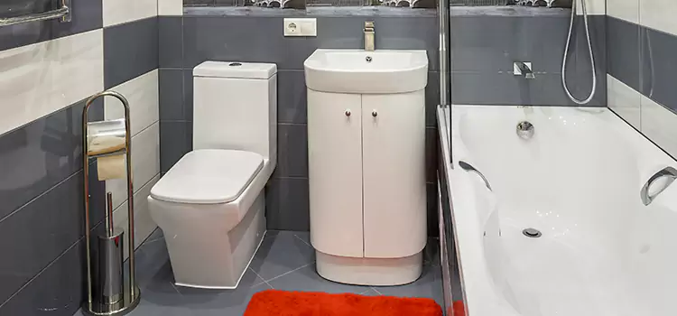 Hansgrohe Shaving Mirror Colton